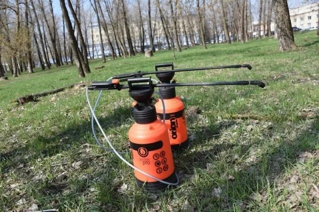    Совет дачникам: как обработать дачный участок от клещей в Новосибирске?