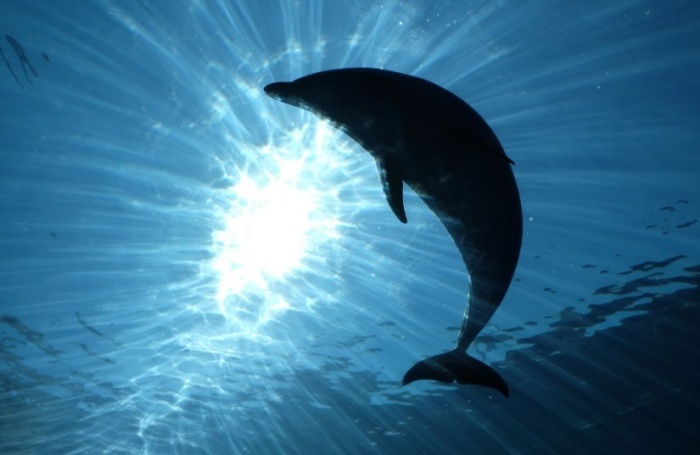    wirestock/ru.freepik.com