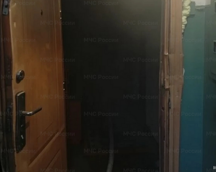     В Курчатове Курской области пожар унес жизнь 56-летней женщины