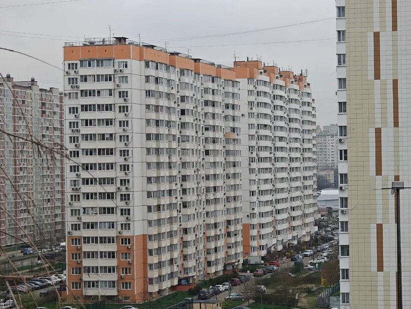    Фото: Юрий Серебренников/BFM Кубань