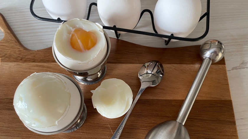    из архива редакции