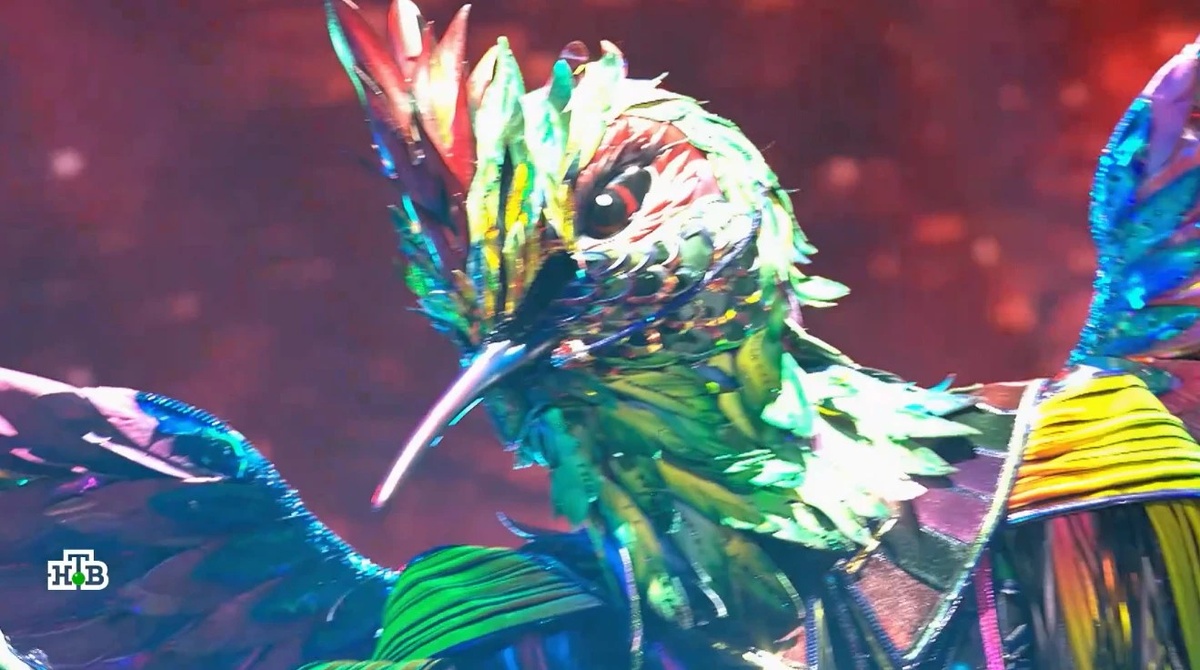    Колибри в шоу «Маска». Кадр из видео ТВ