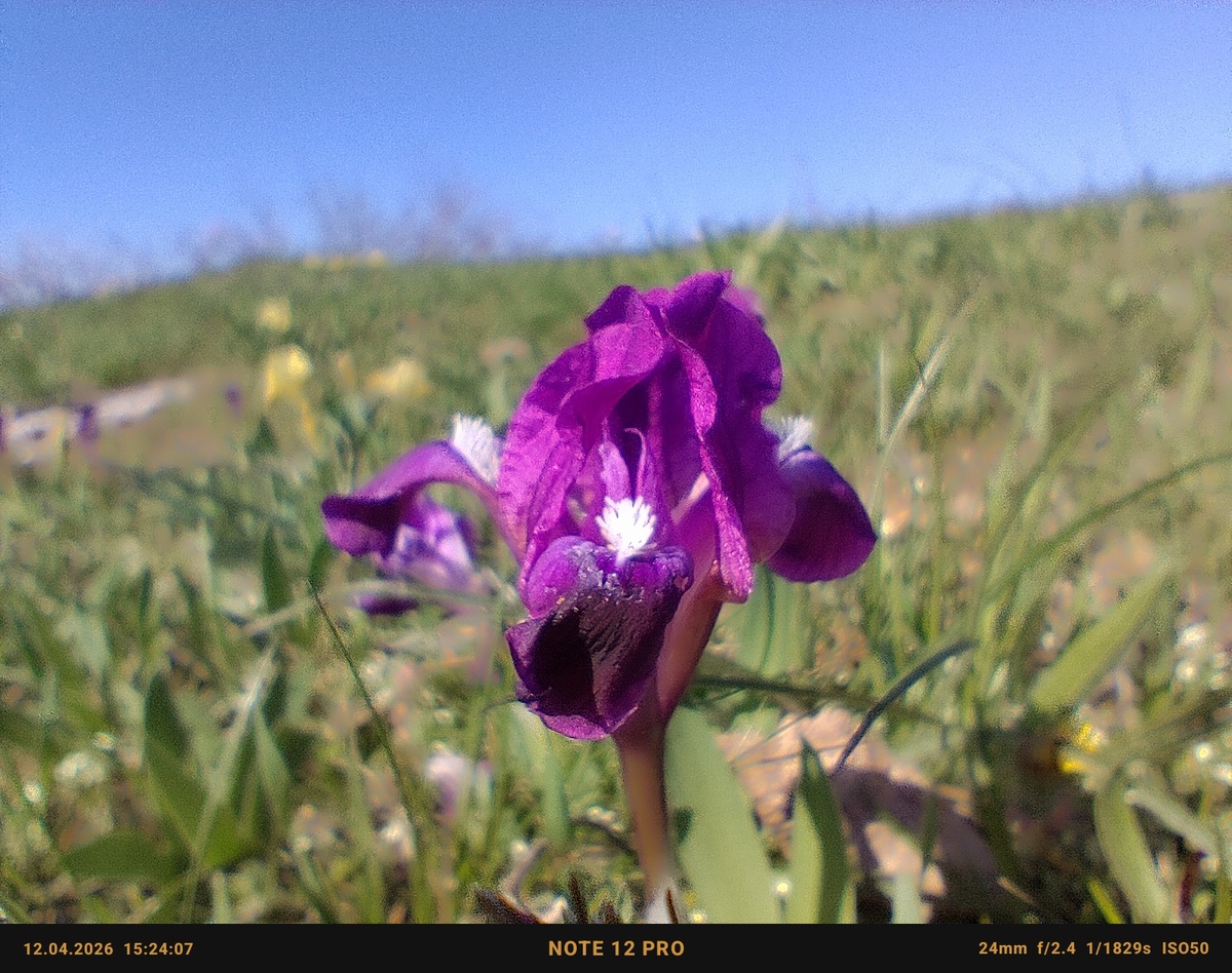 фото из личного архива