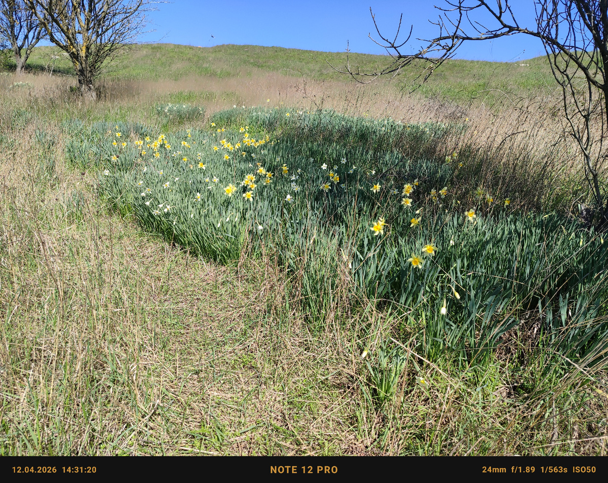 фото из личного архива