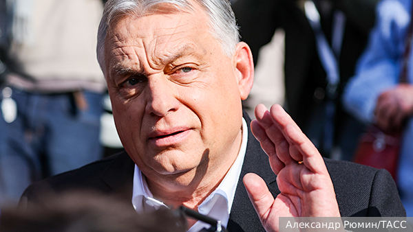     Фото: Александр Рюмин/ТАСС   
 Текст: Вера Басилая