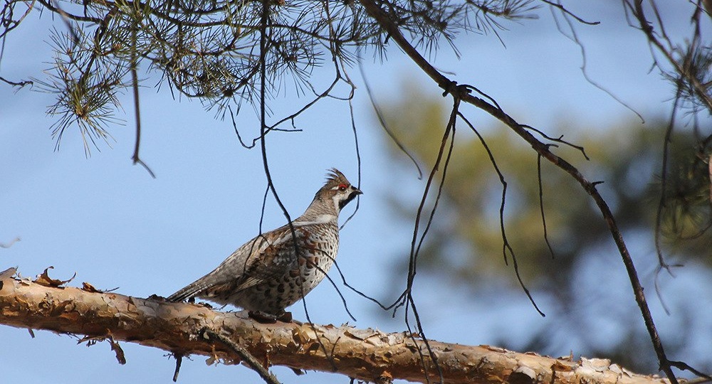 Апрельские заметки. Из архива.