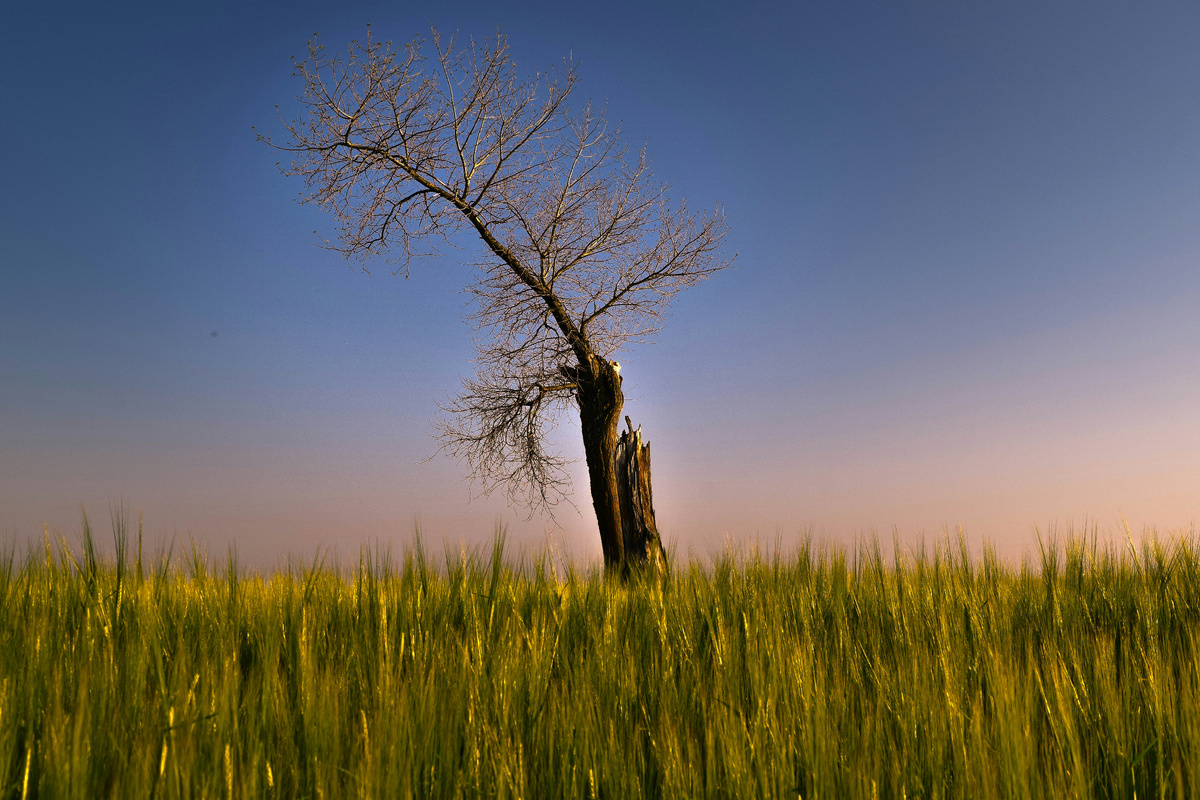 Photo by Dmytro Bukhantsov on Unsplash