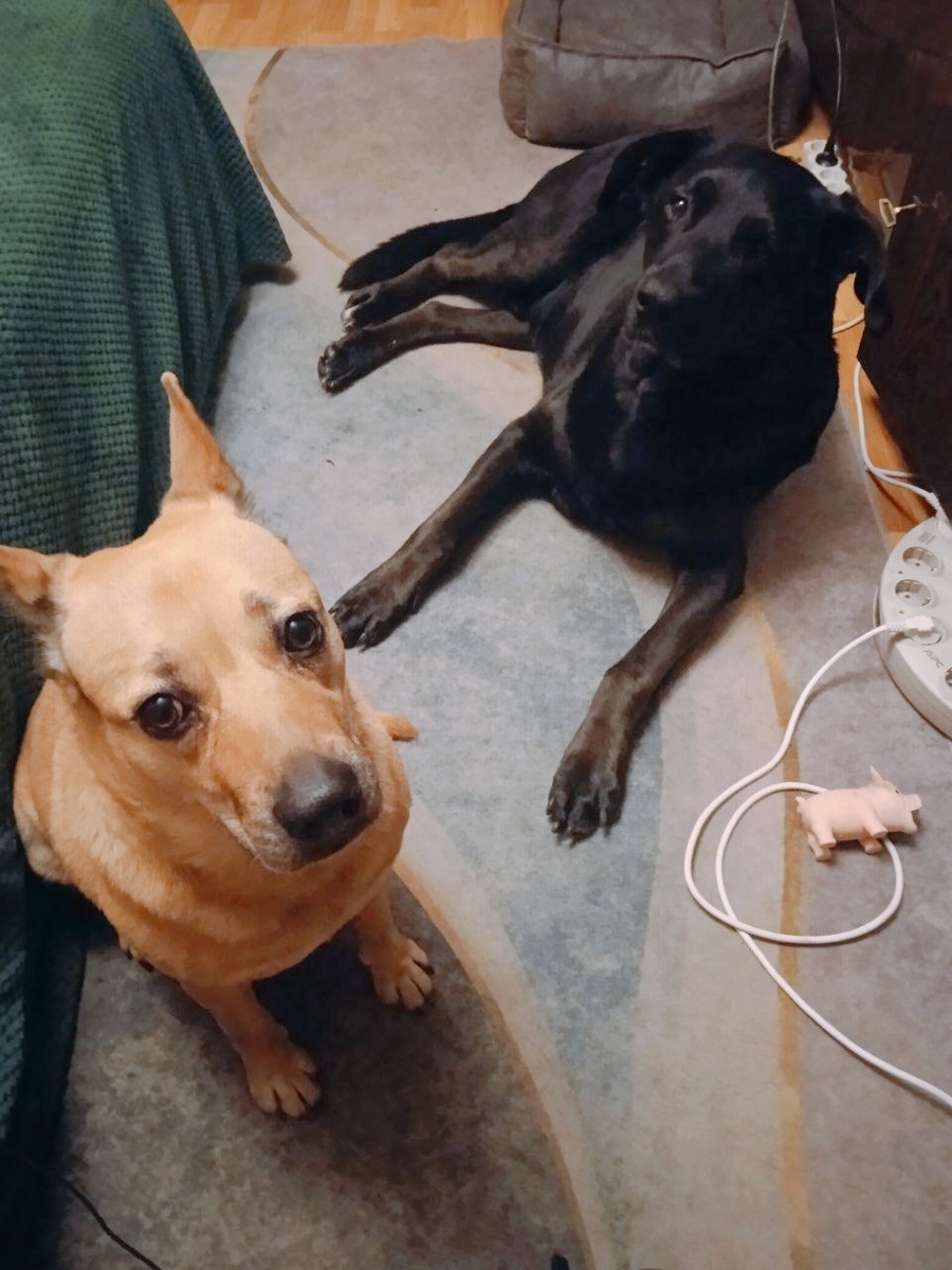 Приходил Сережка - поиграли мы немножко:)