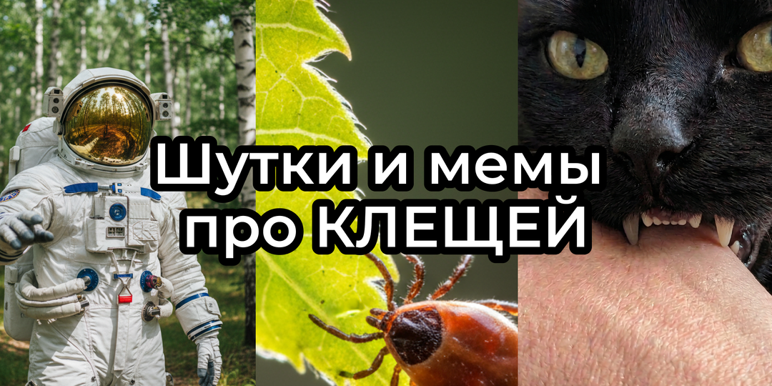 Шутки и МЕМЫ про КЛЕЩЕЙ 2026. Подборка с природы ВЕСНОЙ