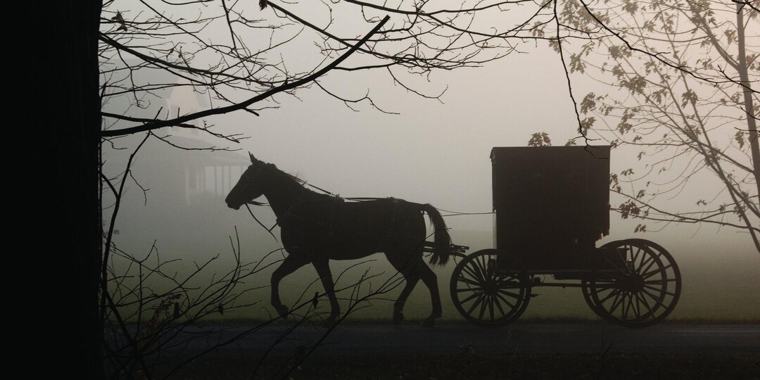 Прошлые жизни - Настоящие истории