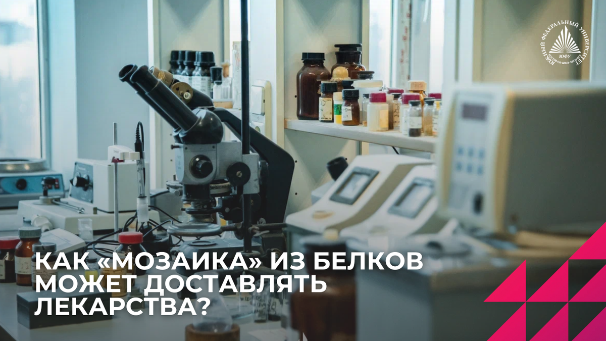 Фото: Центр общественных коммуникаций ЮФУ