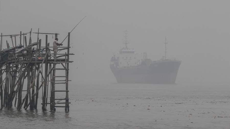    Фото: TASS/AP/Joshua Paul