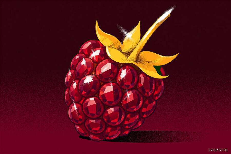 Даша Зайцева, иллюстарция к моей статье в Газете.ру