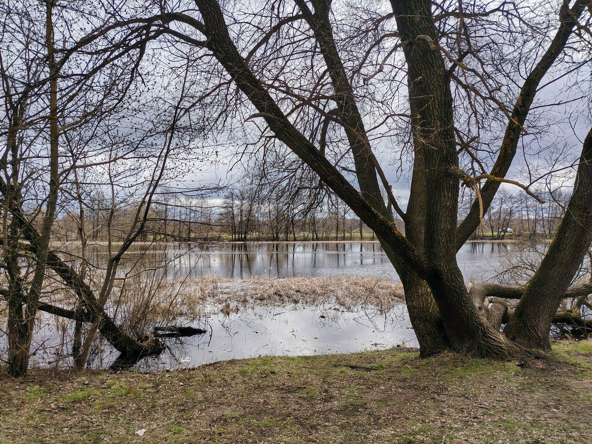(с) "В один день". Усманка, Рамонь