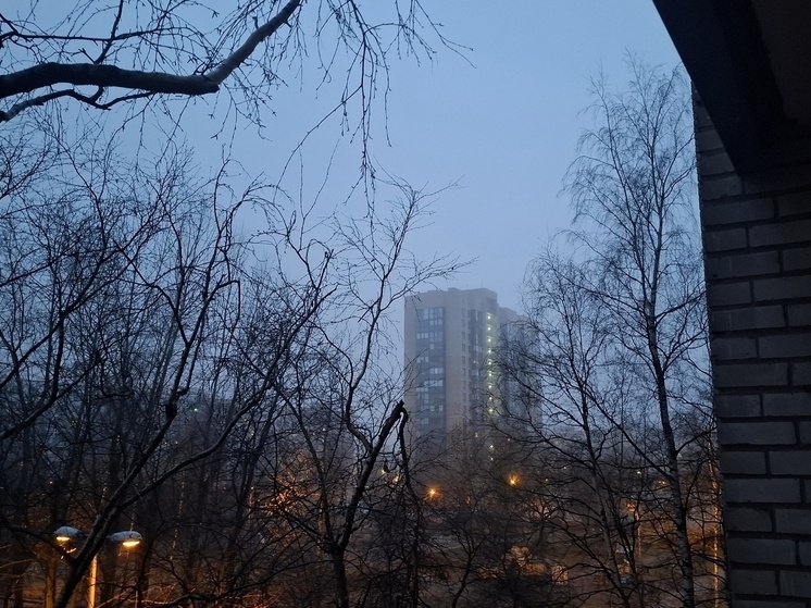     Фото: архив МК в Питере