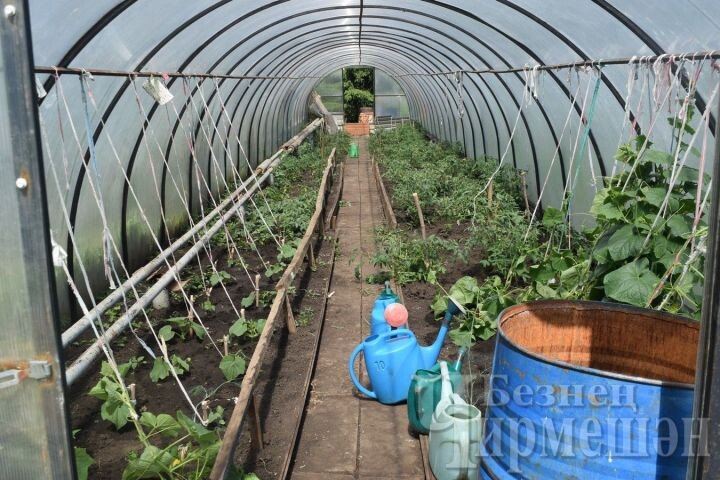 Самые важные огородные дела в апреле