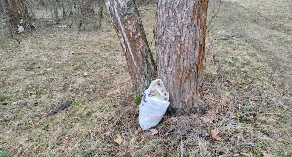    Первый пакет отходов в лесу после таяния снега собрал лично глава Черноголовки и призвал земляков открывать сезон чистоты. / vk.com/id410132915