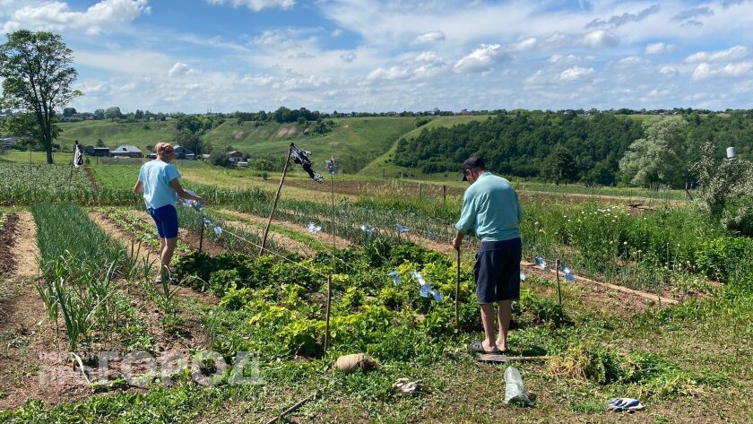    Из архива "Про Город"