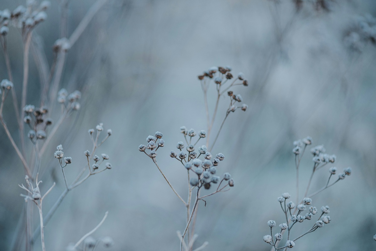 Фото: Josh Withers / Unsplash