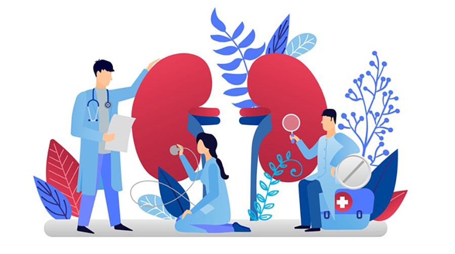 Почки болеют от страха. Психосоматика и методы профилактики.