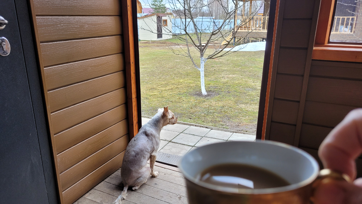 Охранник Марсель.