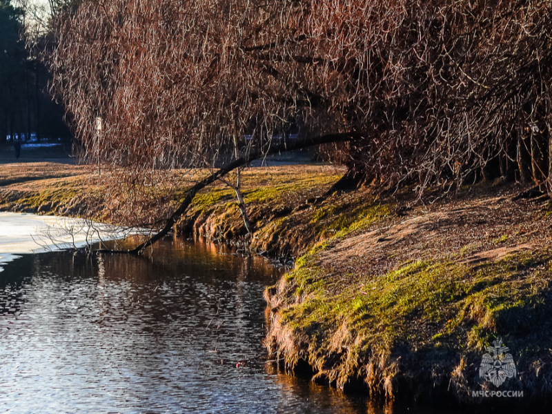     © фото - ГУ МЧС по Курской области