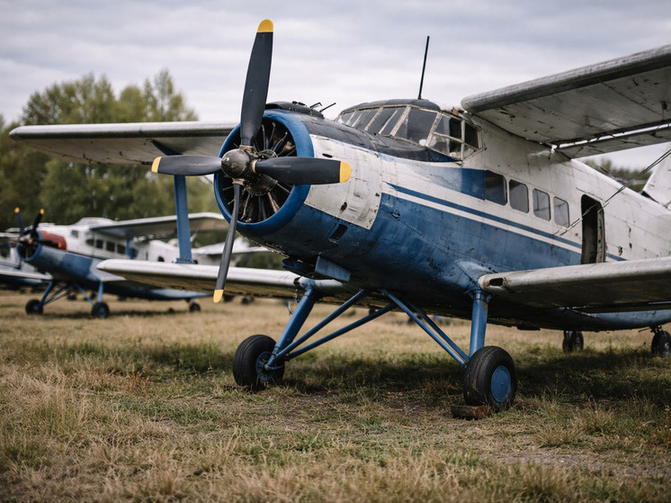     Коллаж: генерация ChatGPT