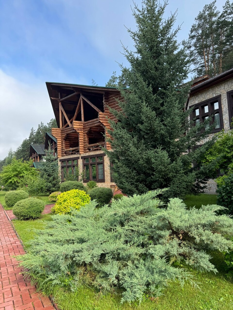 Фото: Яндекс карты. Автор: Виталий М.