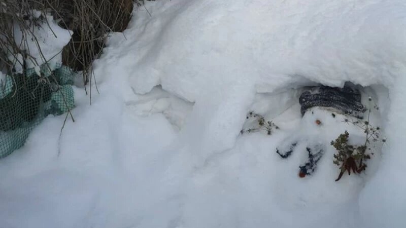     Много снега. altapress.ru