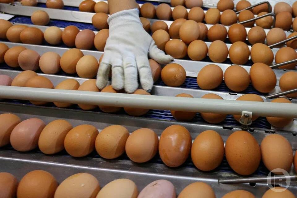    Фото: Дмитрий Рогулин / "Городские вести"