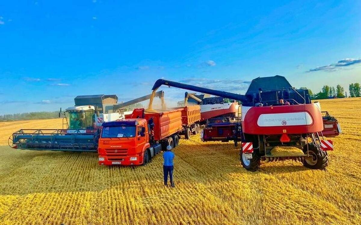    Топовый курский холдинг в АПК «Прогресс» выпустит облигации на 5 млрд рублей Фото – Управление аграрной политики Солнцевского р-на