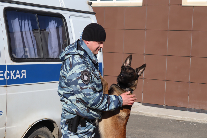    Полицейская овчарка Нестер помогла задержать грабителя в Петрозаводске© МВД Карелии