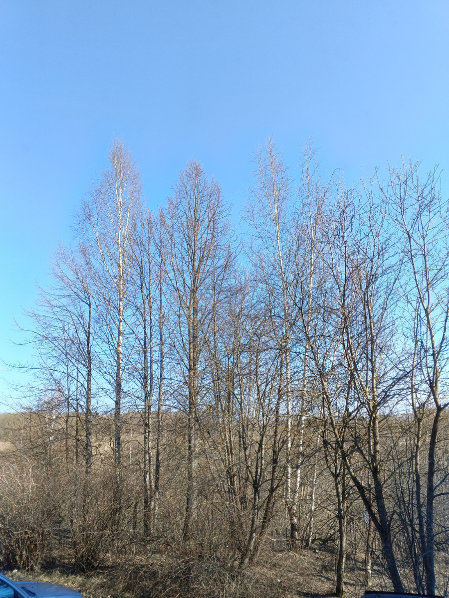 Фото автора с балкона