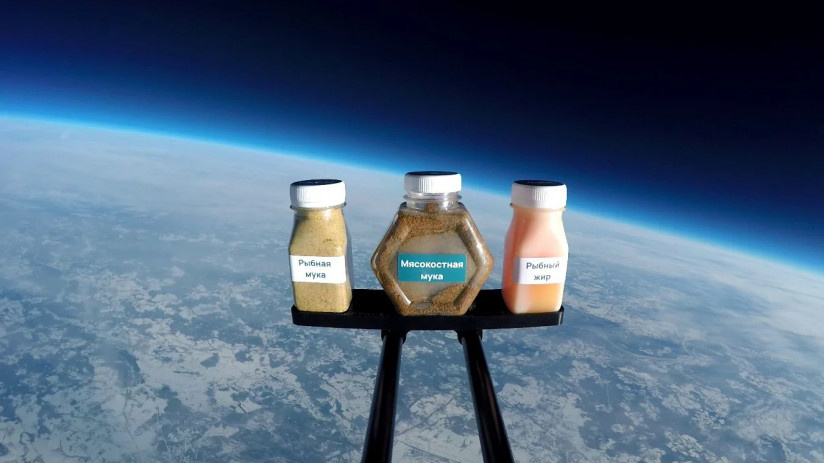 Фото: «АСК»