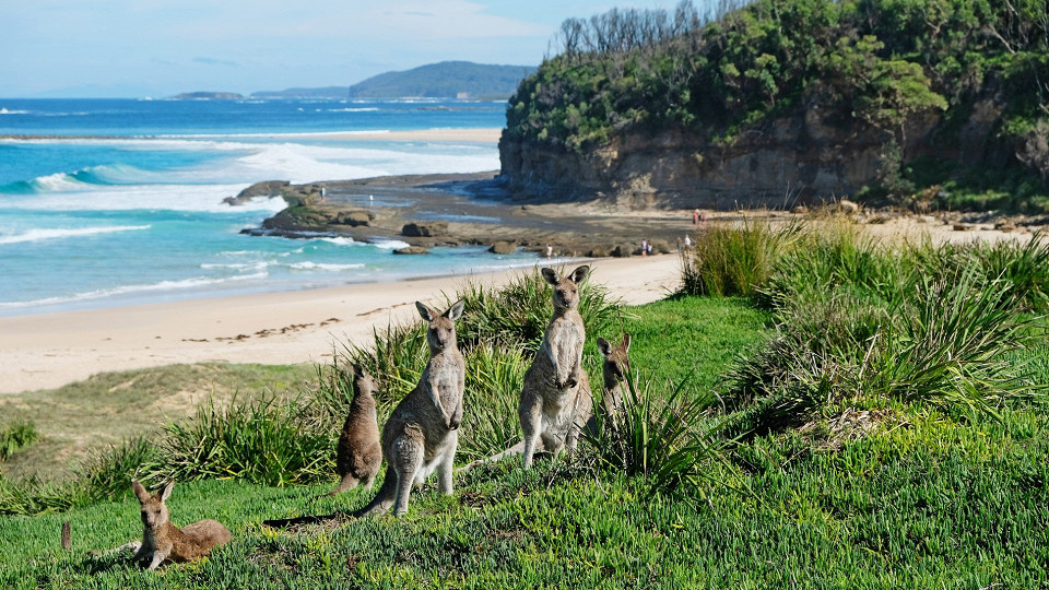 10 неожиданных за­пре­тов в Авст­ра­лии, о ко­то­рых ту­рис­ты не догадываются