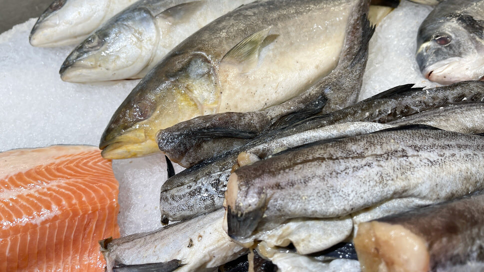 Фото: Игорь Елисеев / Коммерсантъ