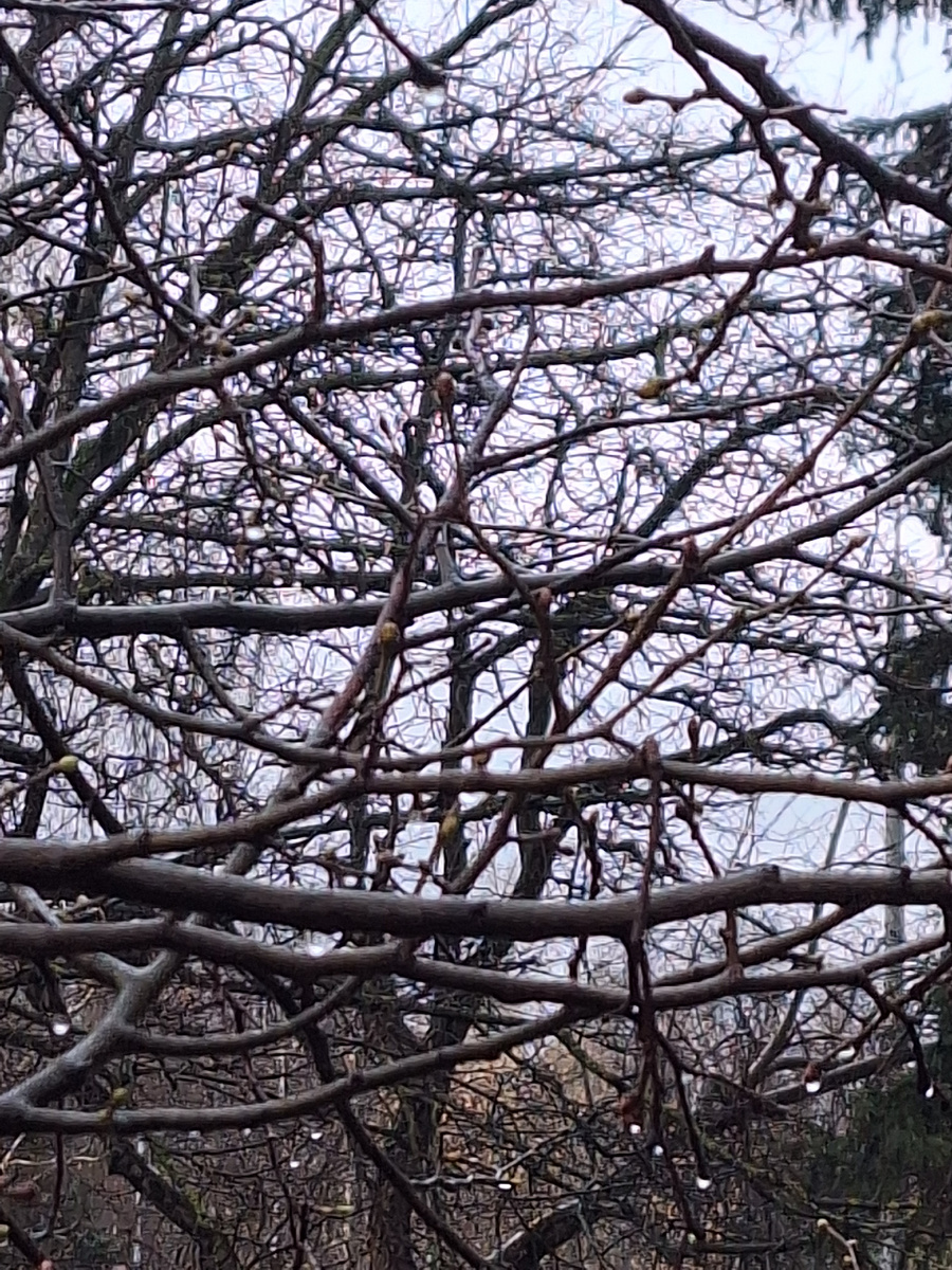 Фото - собственность автора канала "ТАК НАДО".