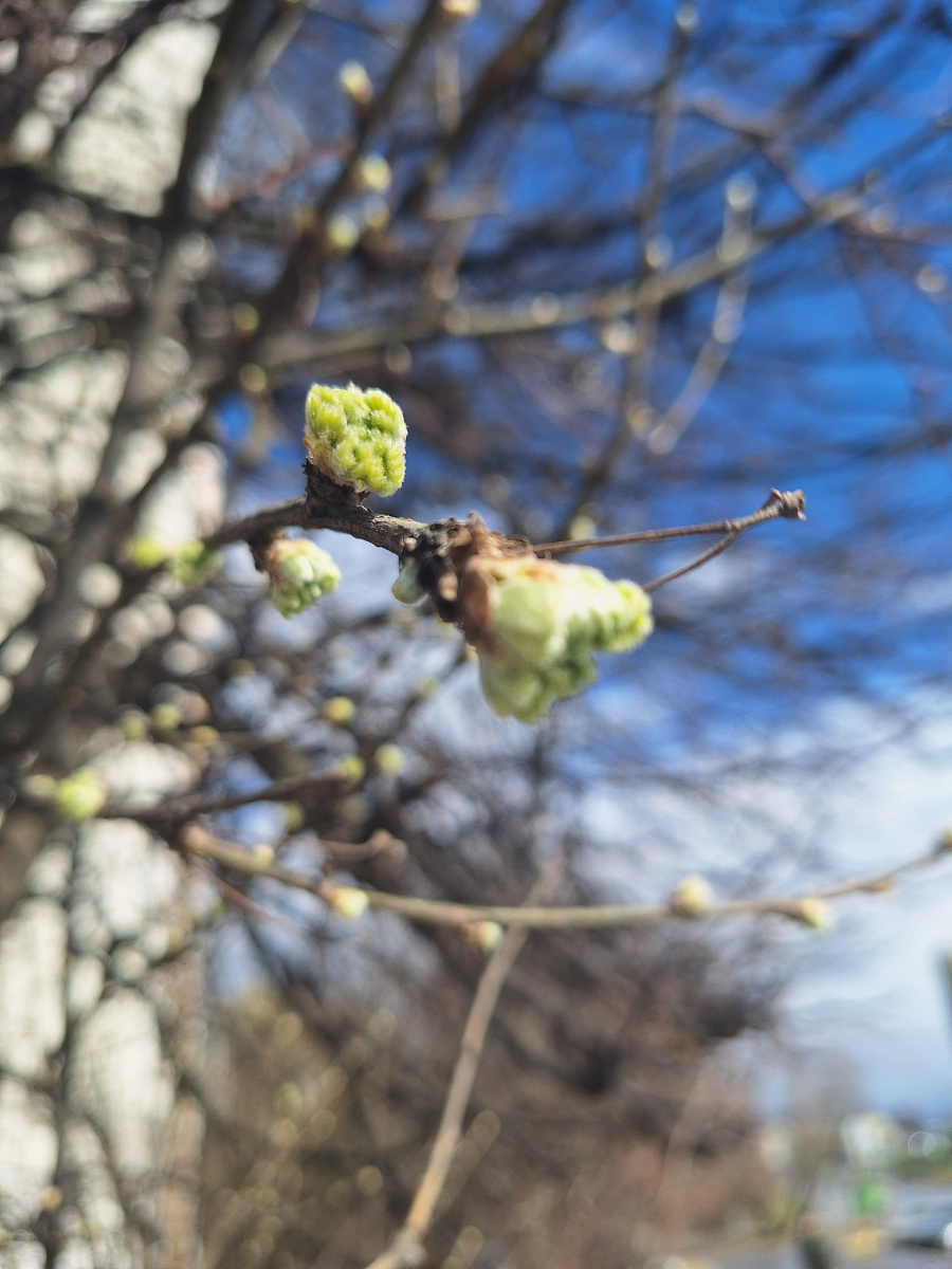 Фото - собственность автора канала "ТАК НАДО".