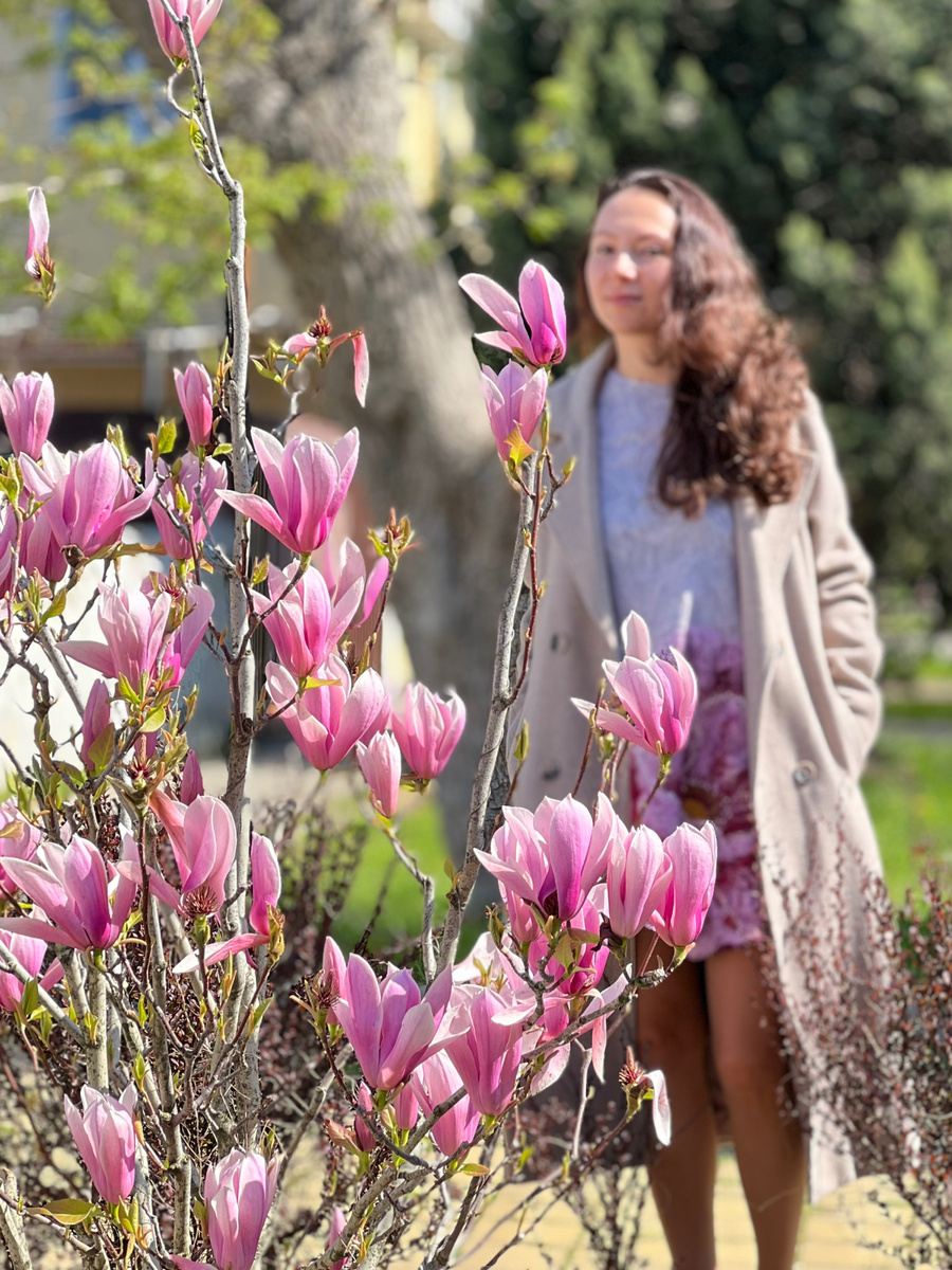 Магнолия цветет в Анапе 
