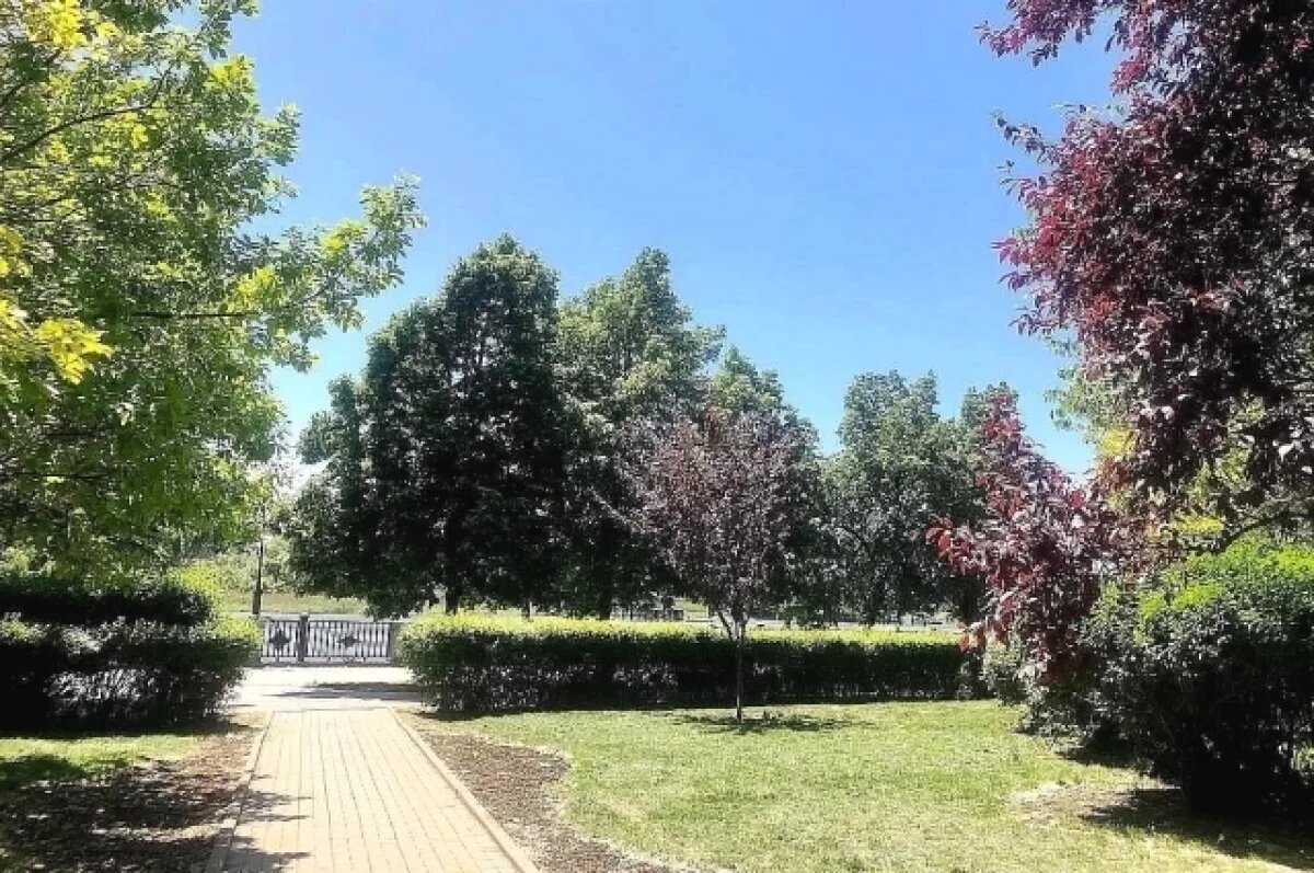    Проектирование береговой части ростовского порта завершат к июлю