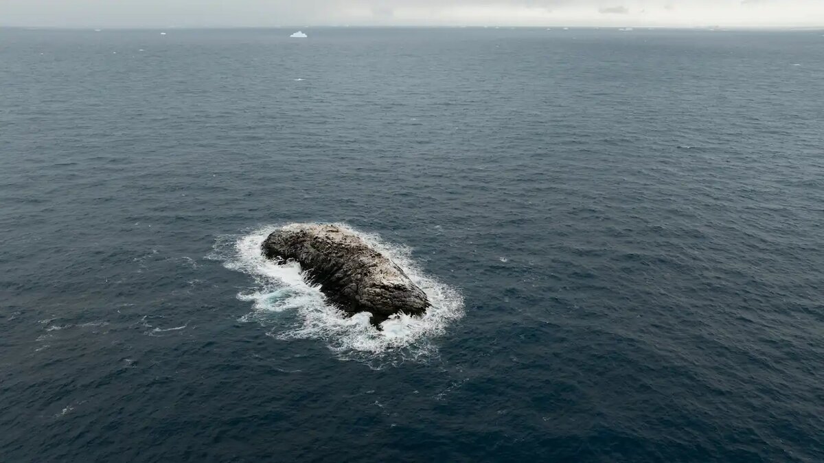 Фото: Alfred Wegener Institute / Christian Haas