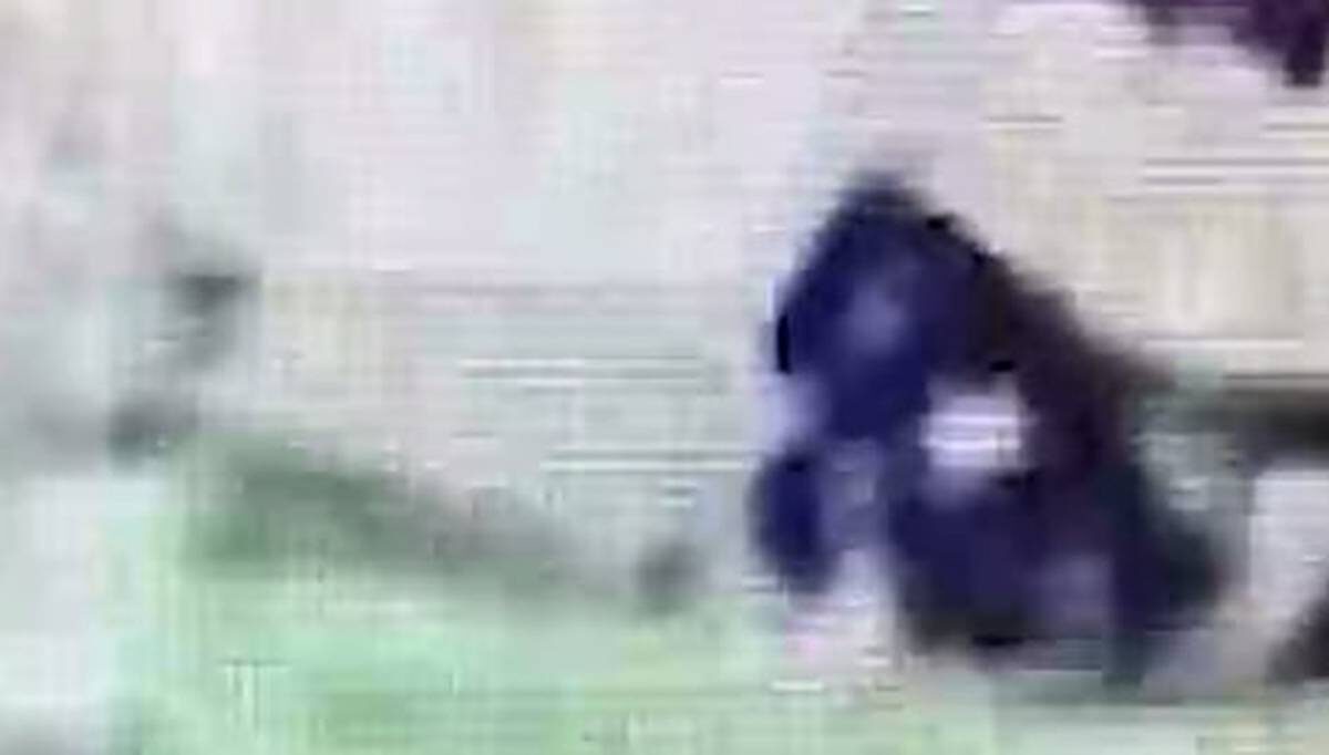    Фото: скриншот видео / РЕН ТВ / Telegram