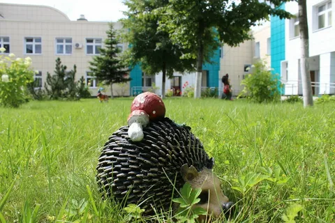 Центр "Роза ветров"