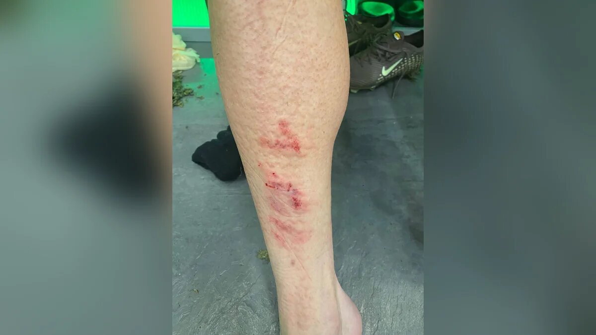    Фото t.me/EduSpertsyan_10