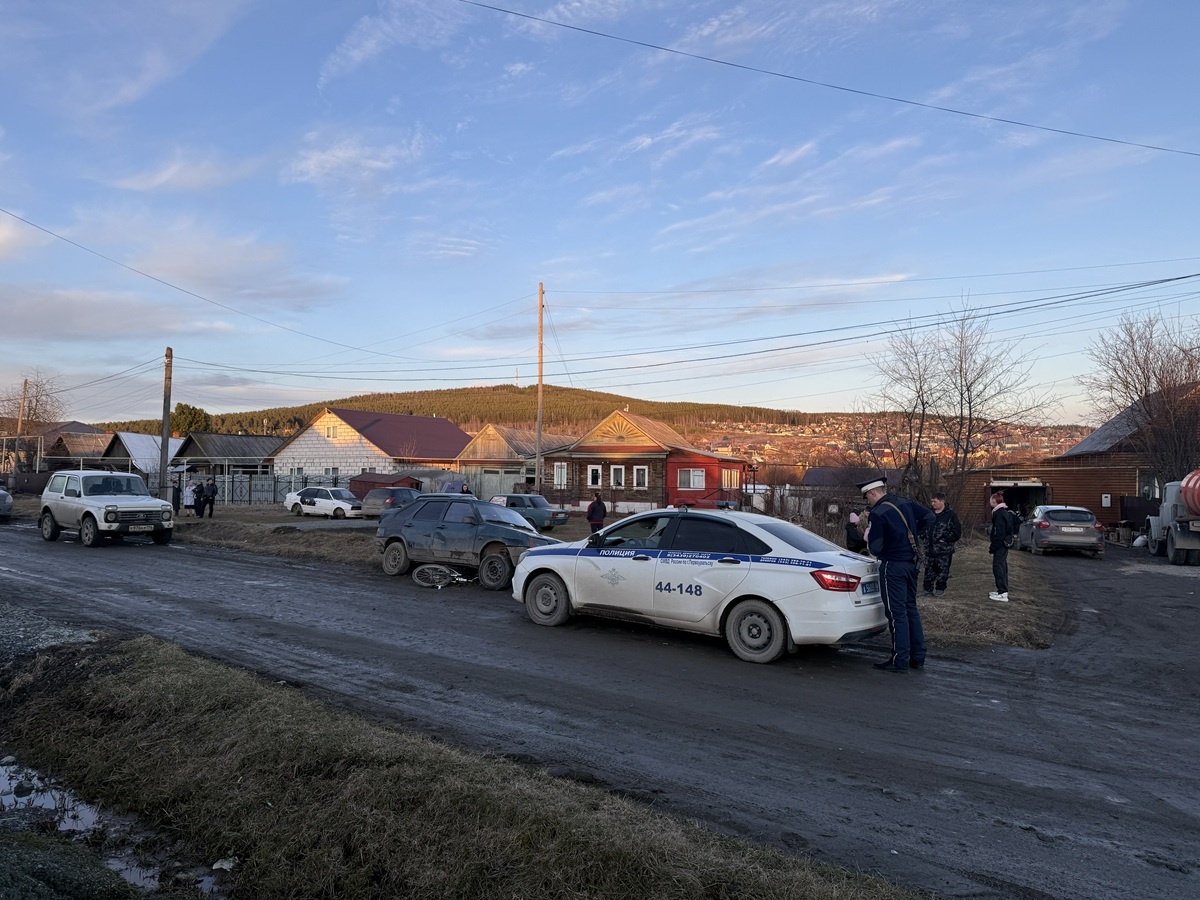 Фото: Госавтоинспекция Свердловской области  📷
