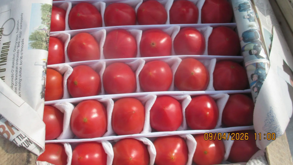 Фото: Мария Сычева