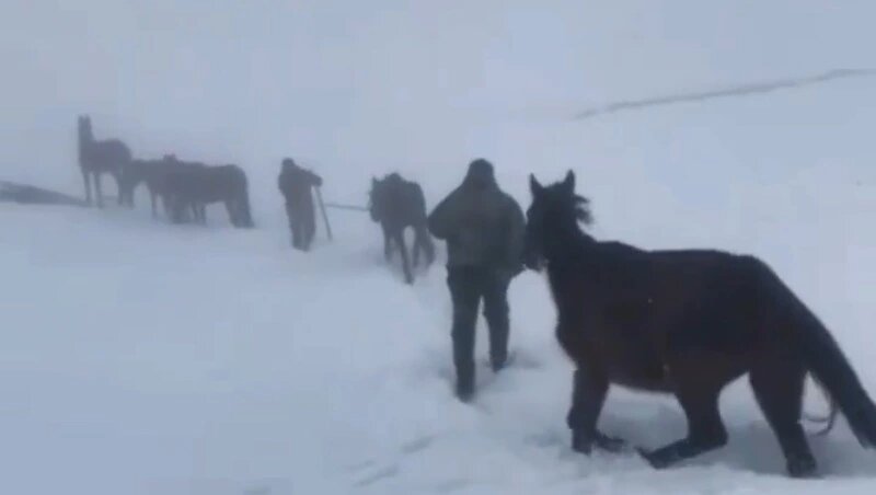      Фото: минсельхозпрод Дагестан