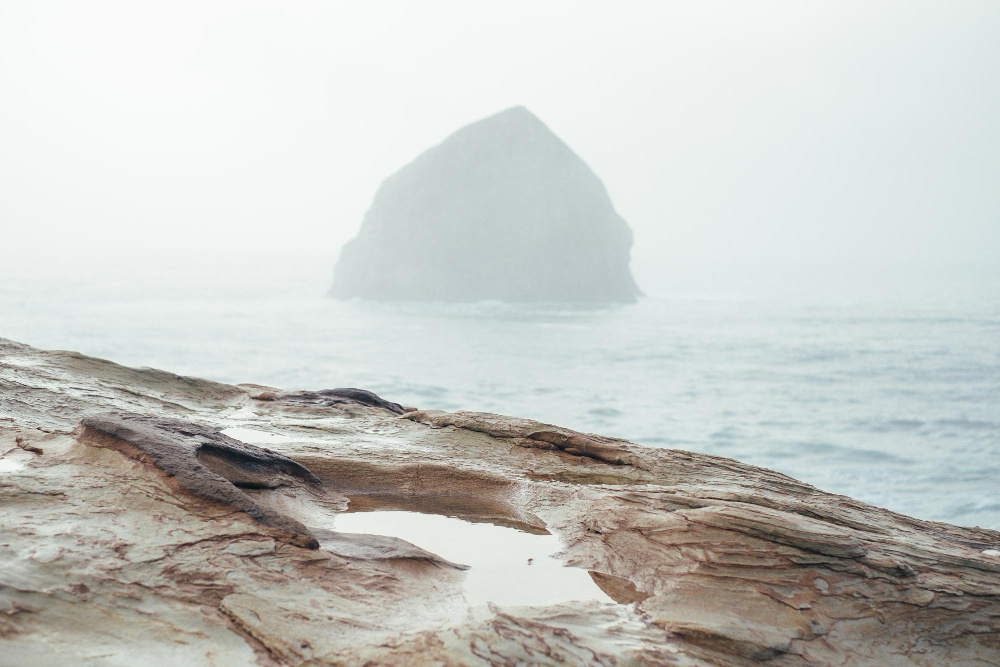    ru.freepik.com / @noeldong