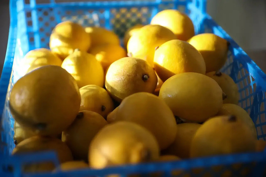 Фото: Илья Хачатурян