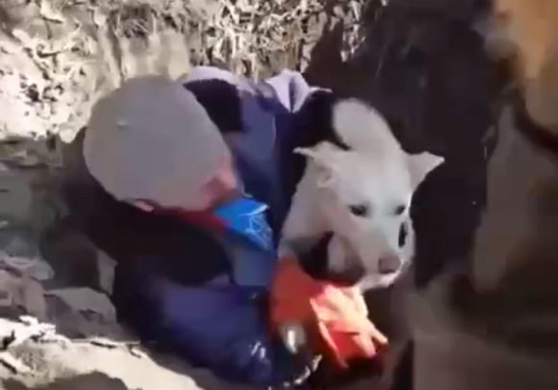 Фото: скриншот видео